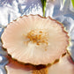 Peach and Pearl white - Handmade Resin Coasters Set Of 6