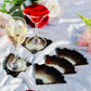 Glittery Beast - Handmade Resin Coasters Set Of 6 (Black/Brown)